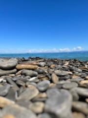 Miklósné Greman Katalin