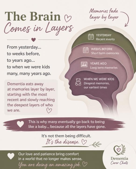 The brain layers 