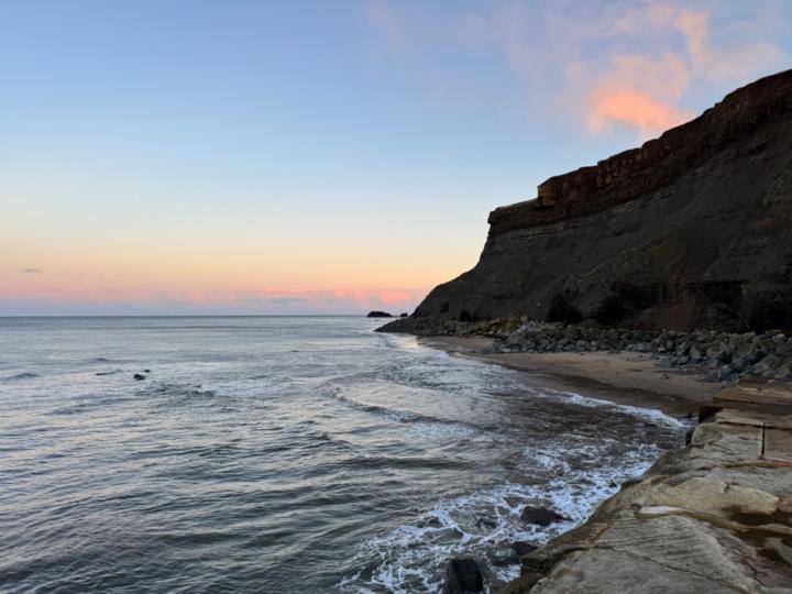 Rowena Lawrence-Thorn