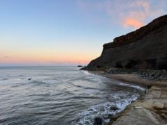 Rowena Lawrence-Thorn