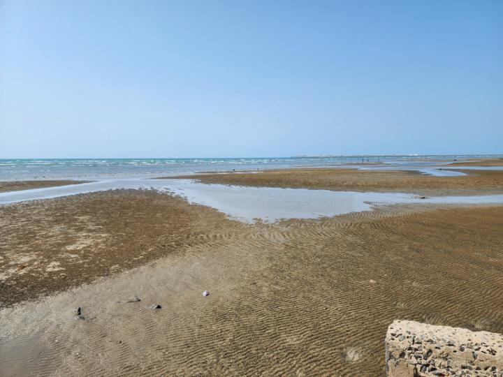 هشام الشبيلي