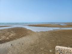 هشام الشبيلي