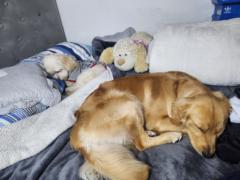 Diana Carolina Burgos