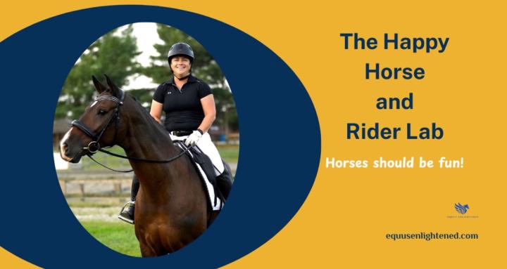 The Happy Horse and Rider Lab