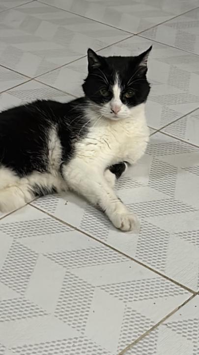 Kenia Cuatecontzi Morales