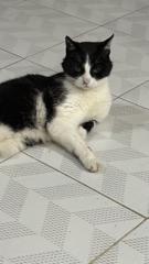 Kenia Cuatecontzi Morales