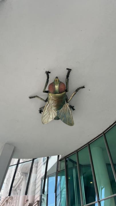 Wojciech Pabjańczyk