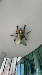 Wojciech Pabjańczyk