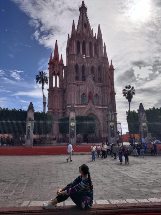 Jocelyne Alcaraz Silva