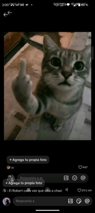 Anthony Ramiro Carlos Salazar