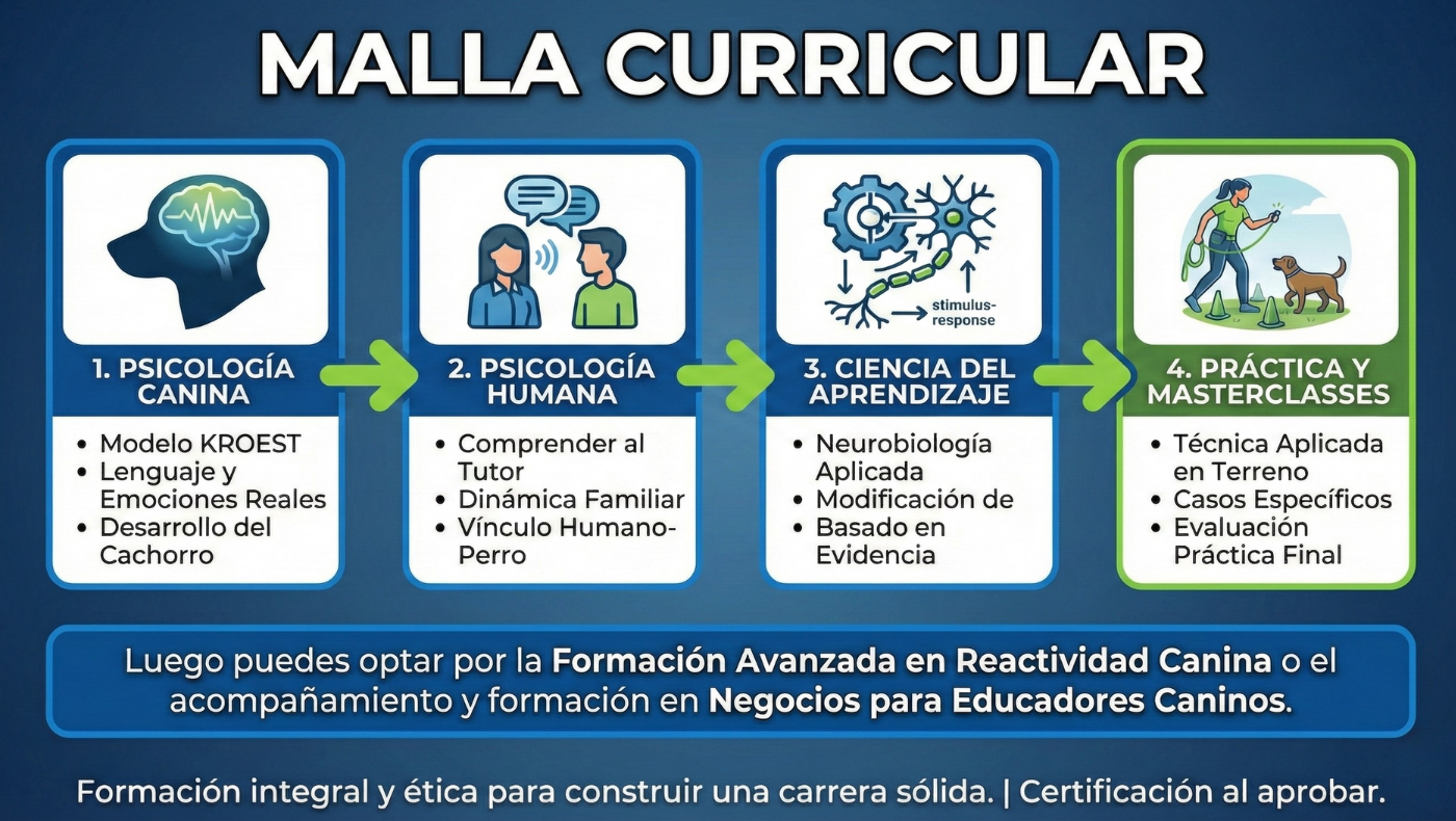 Academia - Educadores Caninos