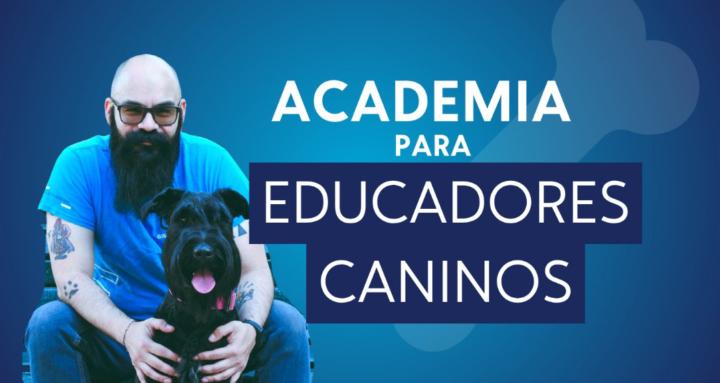 Academia - Educadores Caninos