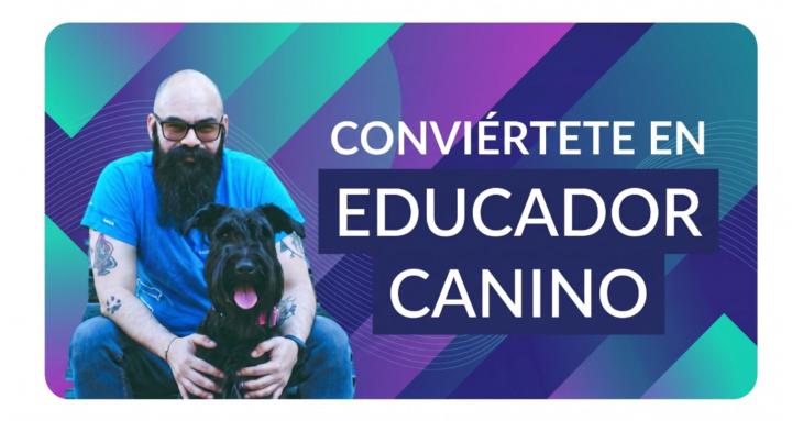 Academia - Educadores Caninos