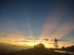 Alexandra Samy Ridore