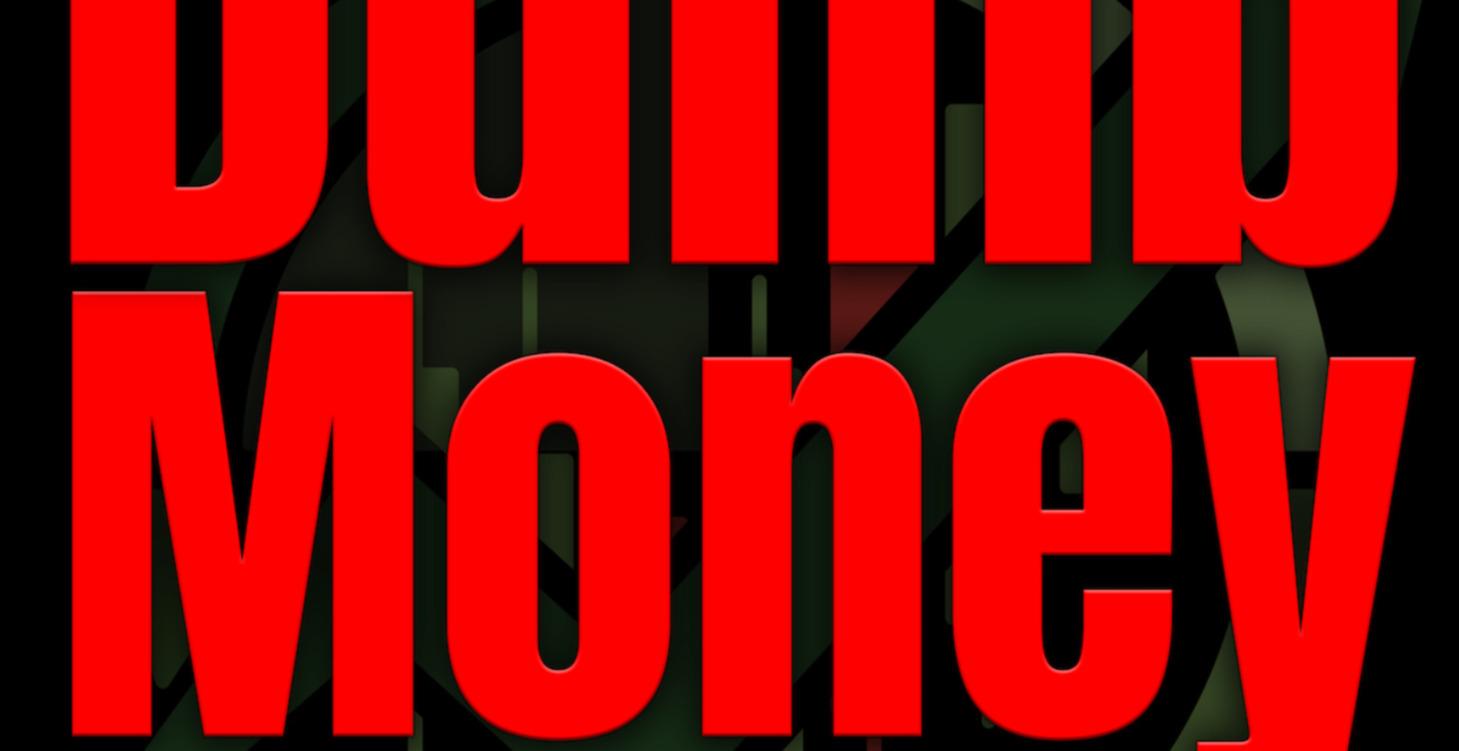 THE DUMB MONEY GUIDE