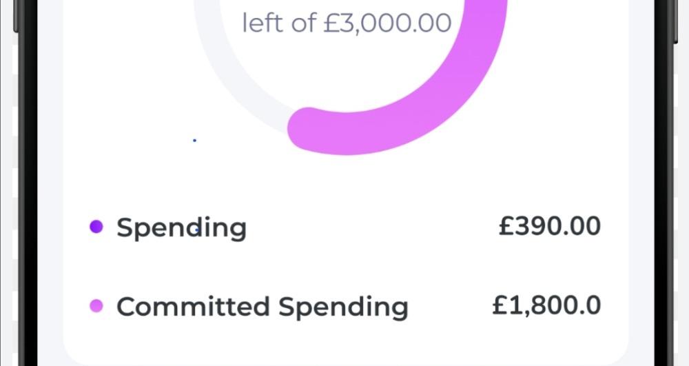 SKOOL BUDGETING CLUB