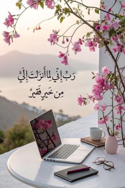 Nosheen Tayyeba
