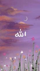Nosheen Tayyeba