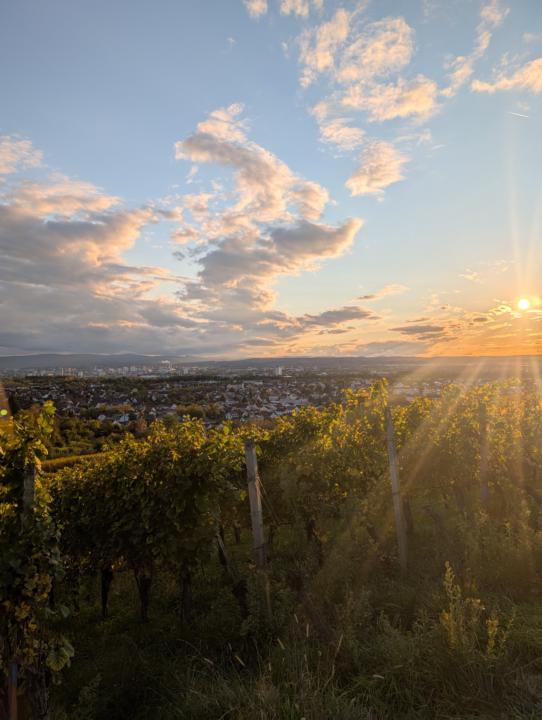 Gemütliche Ferienwohnung im Dreiländereck – Zwischen Reben und Basel Entspannen!