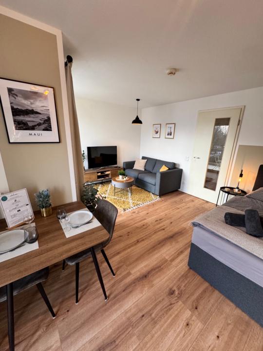 kleines und gemütliches Apartment in der Elbestadt Magdeburg