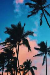 Good vibes Nature