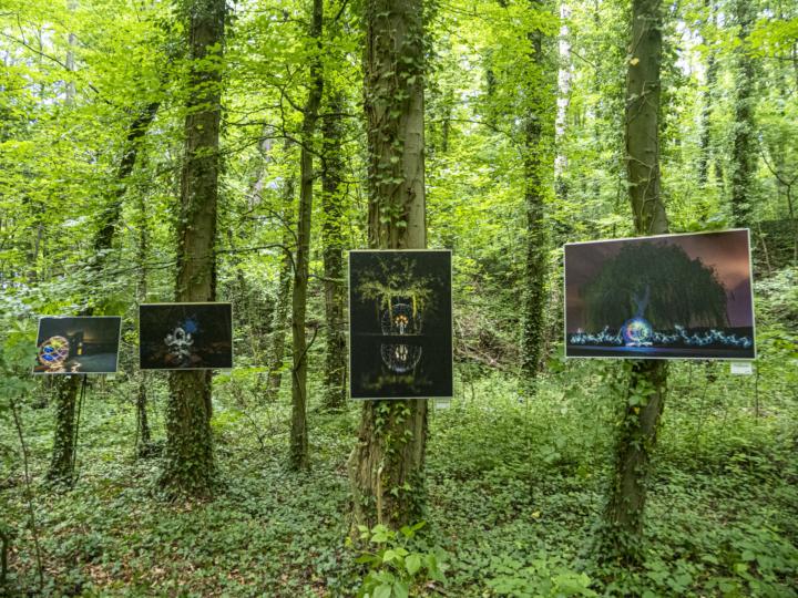 Kunst im Wald