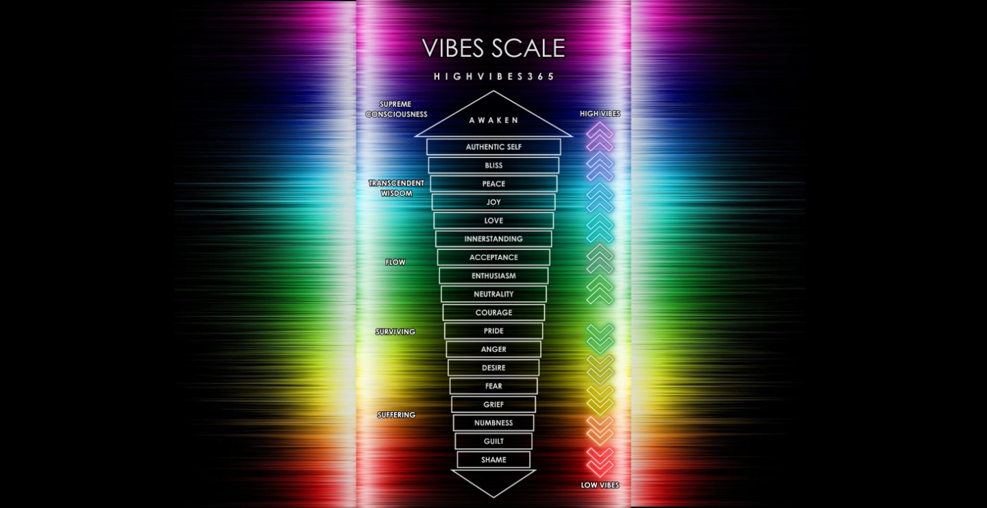 HIGHVIBES365