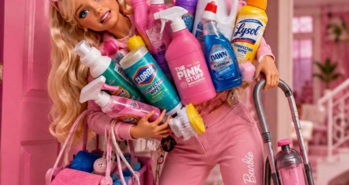 Cleaning Guru's