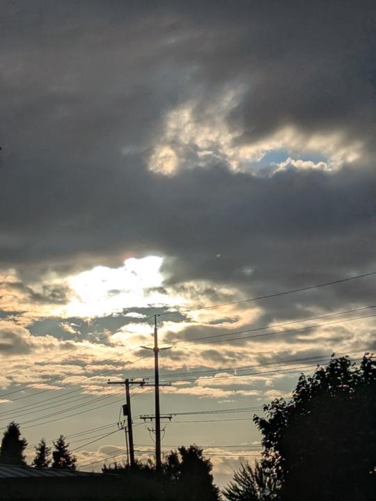 Remembered to look up