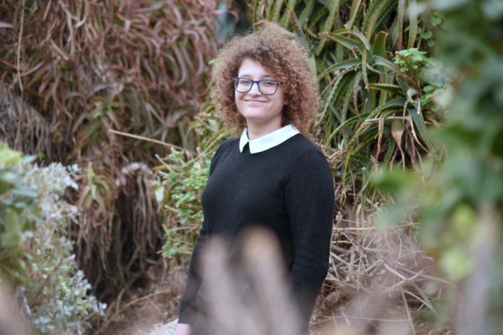 Liad Levy