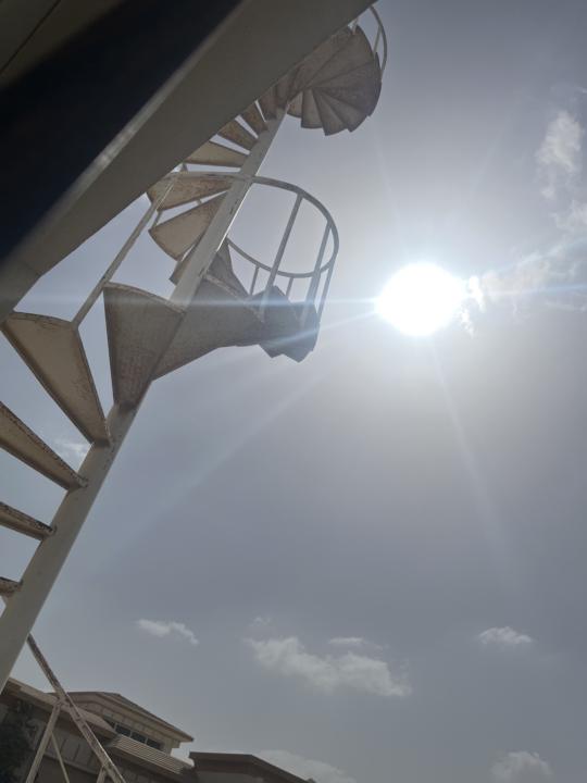 DAY 6: Smart Swap + Meal Prep + Sunlight 🌞🥗