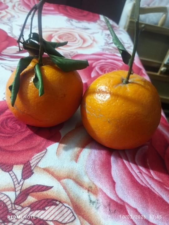 Snack 11 am 🥨😋