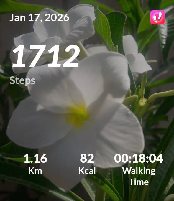 DAY 6: Smart Swap + Meal Prep + Sunlight 🌞🥗