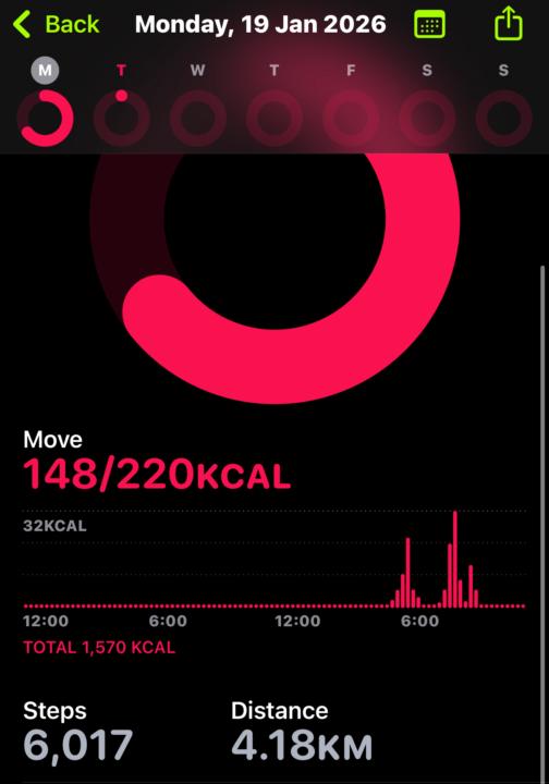 Steps