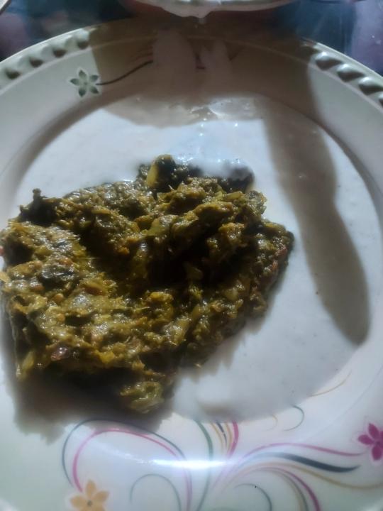 Day 14 dinner (yogurt day🤣)