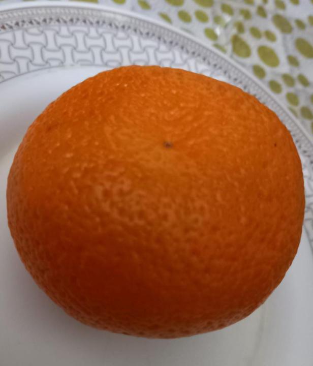 DAY 8: Fiber + Tracking Day 📝💧