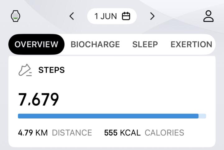 Workout and meal log 