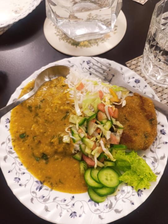 Day 15 Meal Update 🍽️✨