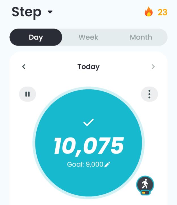 Steps count 
