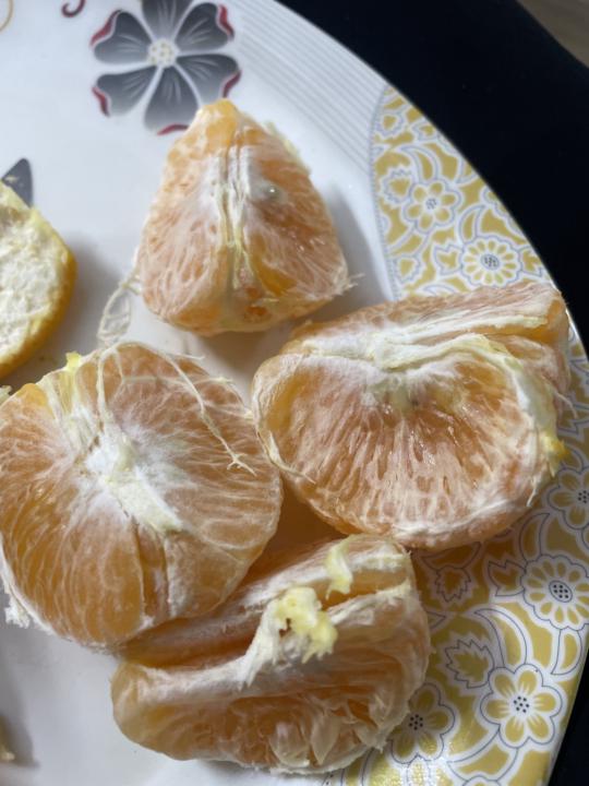 Breakfast and Evening snack