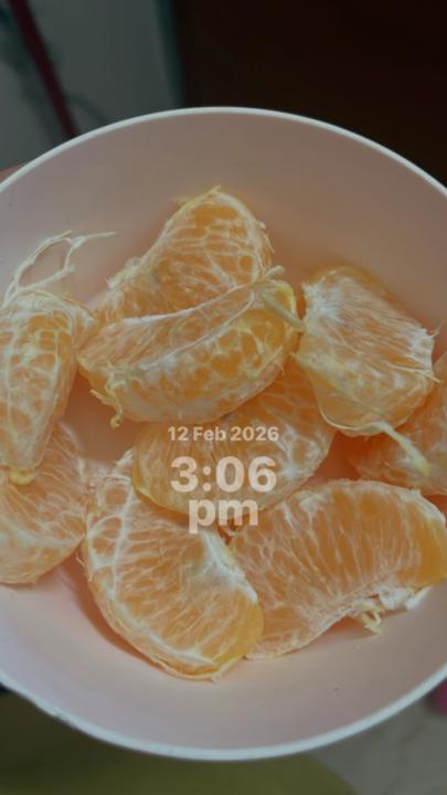 Day 2 (snacks + lunch ) 