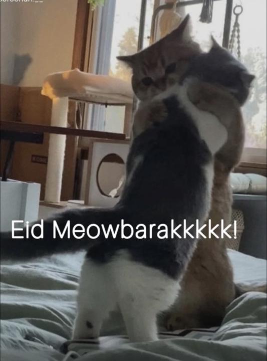 EID MUBARAK ❤️🫂🌙