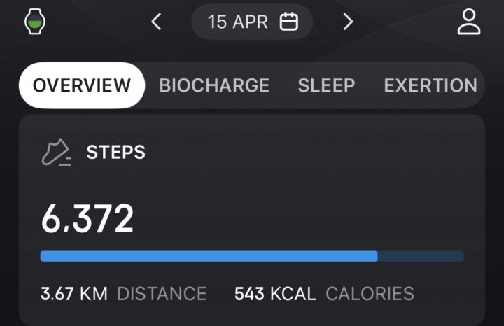 Meal & workout logs 15/04/26-17/04/26
