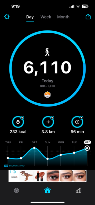 Day 8 Ramadan Challenge (move your body)