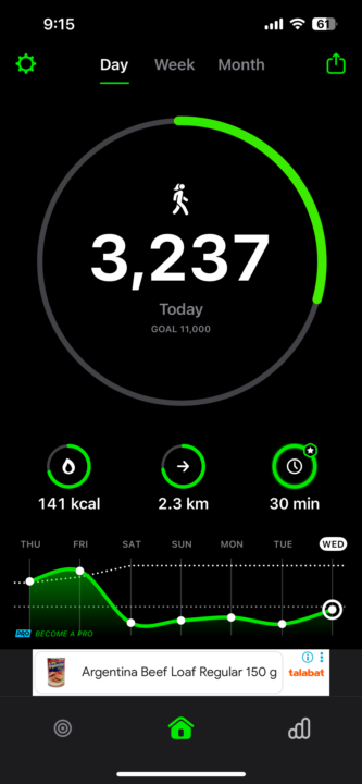 Day 15 Ramadan challenge (dinner/walk)