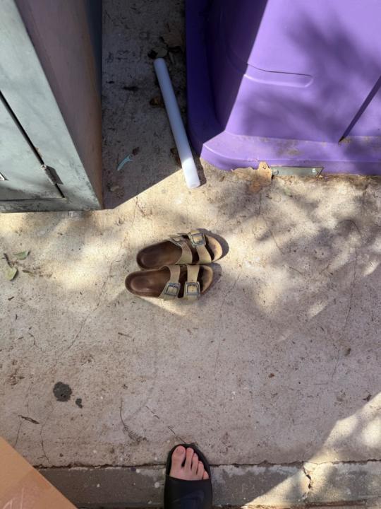 נועם מוצרי