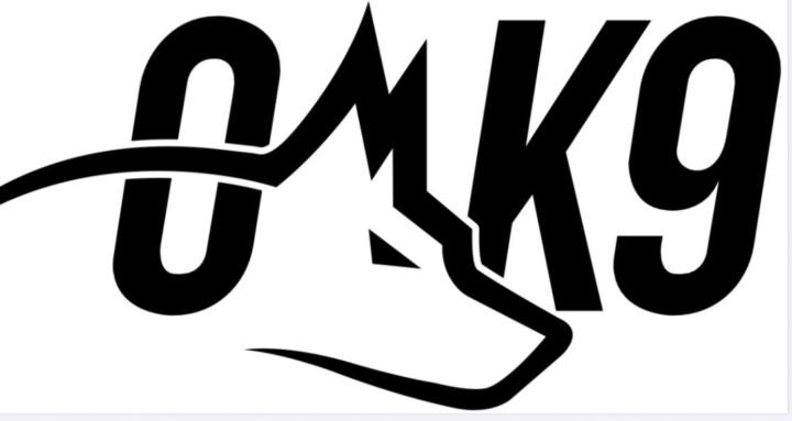 Oscar Mora Dog Training