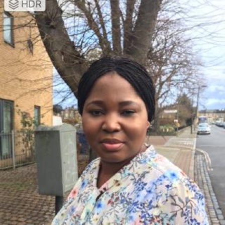 Olufunmilayo L. Ajayi