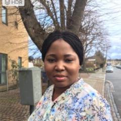 Olufunmilayo L. Ajayi