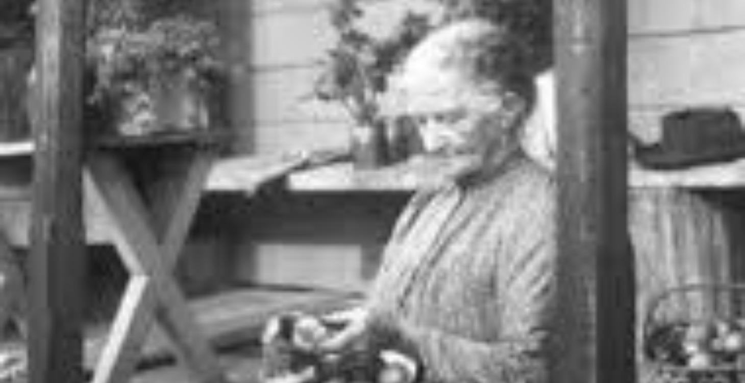 Appalachian Medicinals